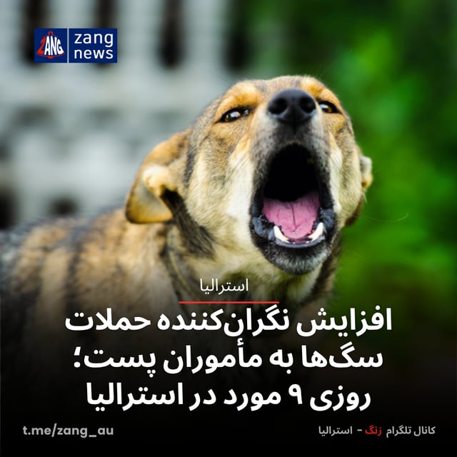 افزایش نگران‌کننده حملات سگ‌ها به مأموران پست؛ روزی ۹ مورد در استرالیا