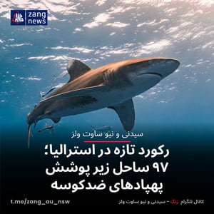 رکورد تازه در استرالیا؛ ۹۷ ساحل زیر پوشش پهپادهای ضدکوسه