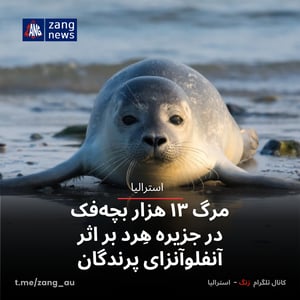 مرگ ۱۳ هزار بچه‌فک در جزیره هِرد بر اثر آنفلوآنزای پرندگان