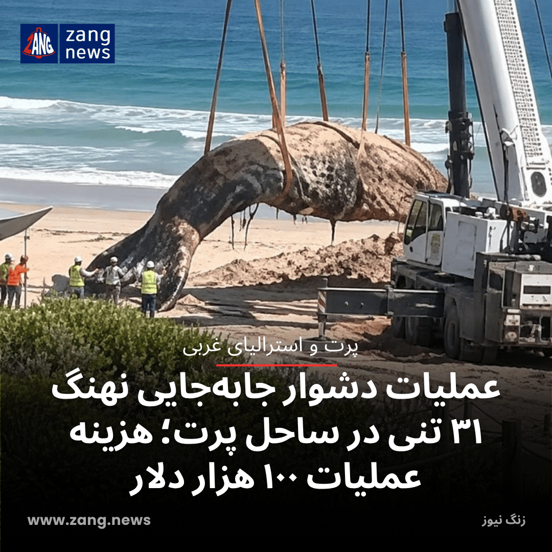 عملیات دشوار جابه‌جایی نهنگ ۳۱ تنی در ساحل پرت؛ هزینه عملیات ۱۰۰ هزار دلار