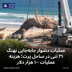 عملیات دشوار جابه‌جایی نهنگ ۳۱ تنی در ساحل پرت؛ هزینه عملیات ۱۰۰ هزار دلار