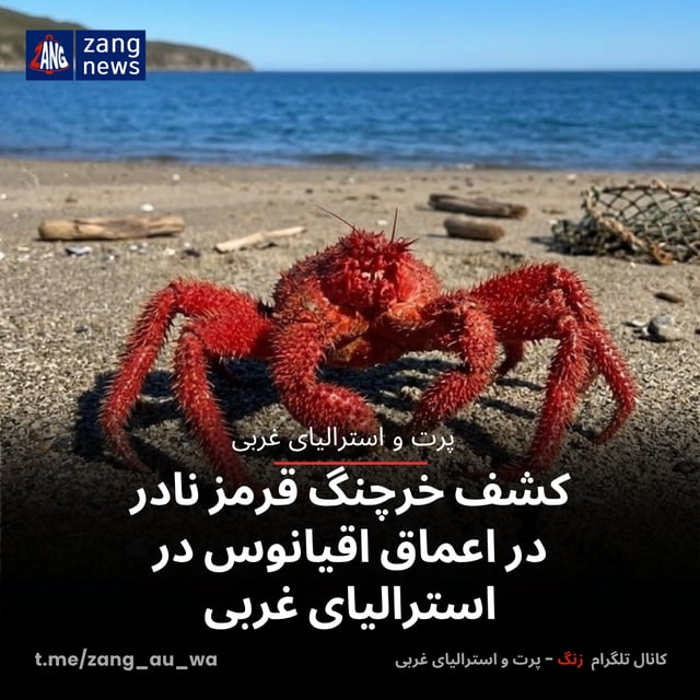 کشف خرچنگ قرمز نادر در اعماق اقیانوس در استرالیای غربی