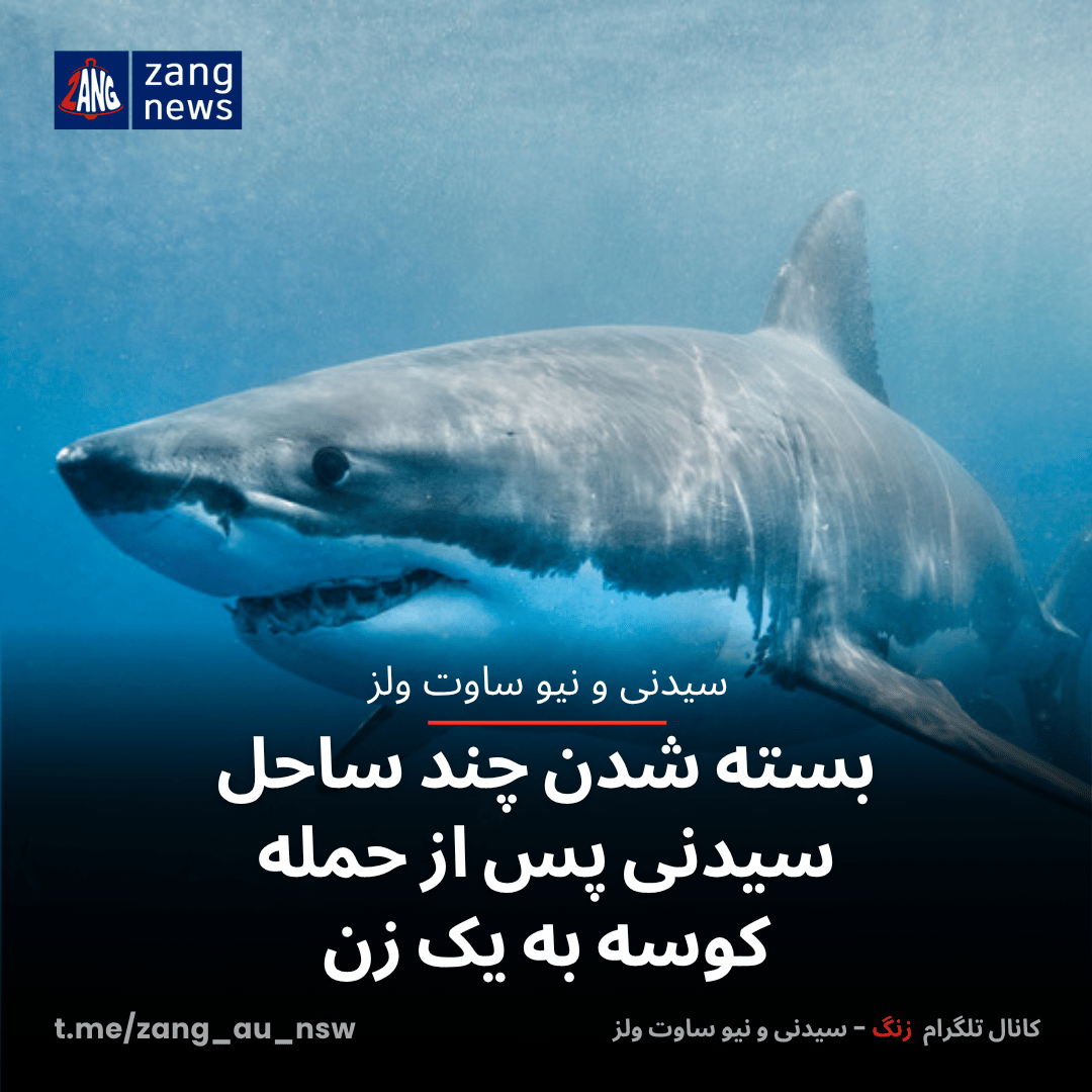بسته شدن چند ساحل سیدنی پس از حمله کوسه به یک زن