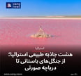 هشت جاذبه طبیعی استرالیا؛ از جنگل‌های باستانی تا دریاچه صورتی
