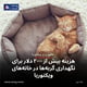 هزینه بیش از ۲۰۰۰ دلار برای نگهداری گربه‌ها در خانه‌های ویکتوریا