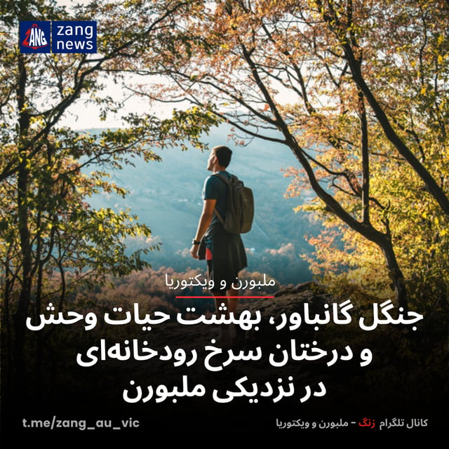 جنگل گانباور بهشت حیات وحش و درختان سرخ رودخانه‌ای در نزدیکی ملبورن