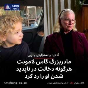 مادربزرگ گاس لامونت هرگونه دخالت در ناپدید شدن او را رد کرد