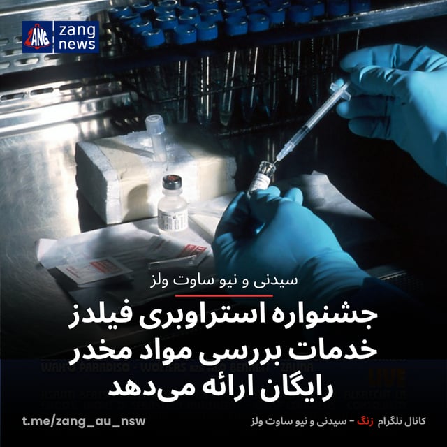 جشنواره استراوبری فیلدز خدمات بررسی مواد مخدر رایگان ارائه می‌دهد
