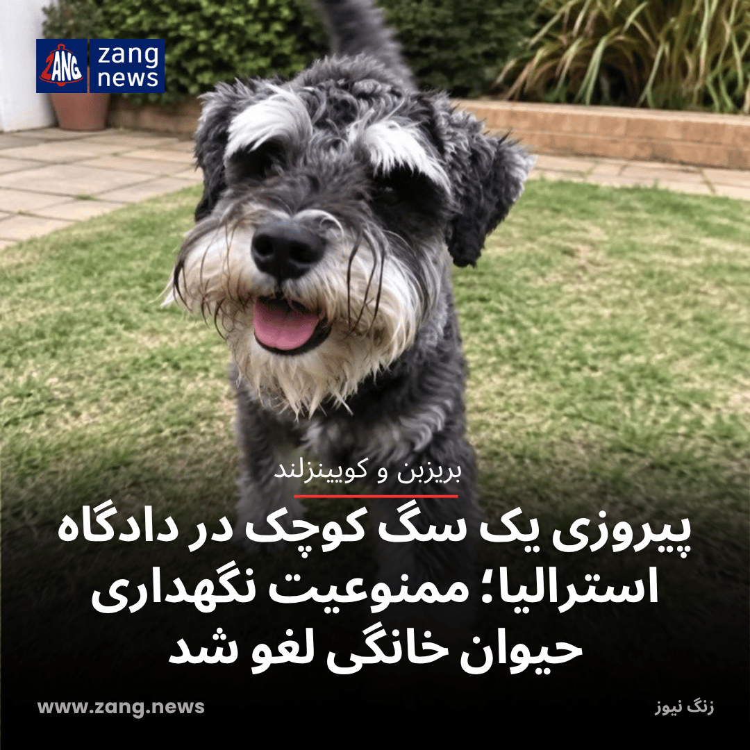 پیروزی یک سگ کوچک در دادگاه استرالیا؛ ممنوعیت نگهداری حیوان خانگی لغو شد