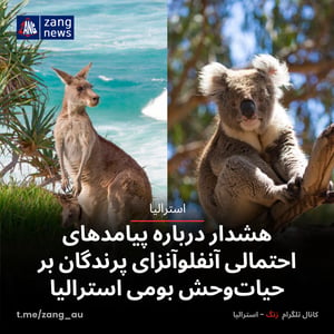 هشدار درباره پیامدهای احتمالی آنفلوآنزای پرندگان بر حیات‌وحش بومی استرالیا