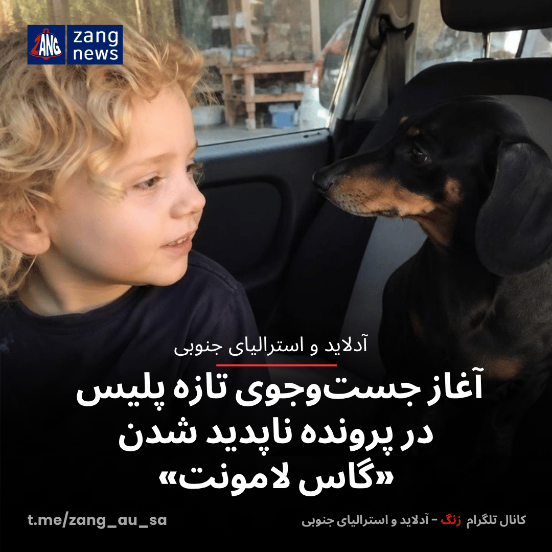 آغاز جست‌وجوی تازه پلیس  در پرونده ناپدید شدن «گاس لامونت»