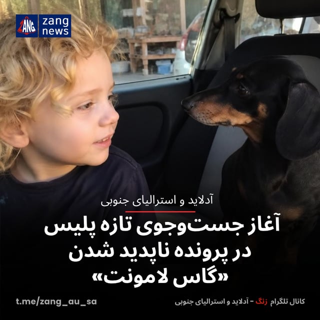 آغاز جست‌وجوی تازه پلیس در پرونده ناپدید شدن «گاس لامونت»