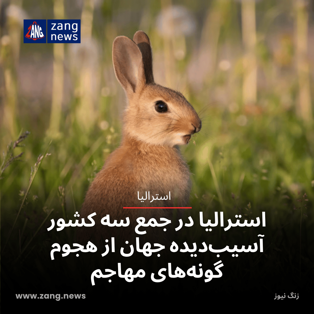 استرالیا در جمع سه کشور آسیب‌دیده جهان از هجوم گونه‌های مهاجم