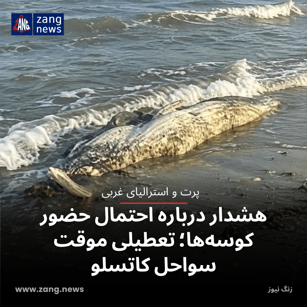 هشدار درباره احتمال حضور کوسه‌ها؛ تعطیلی موقت سواحل کاتسلو