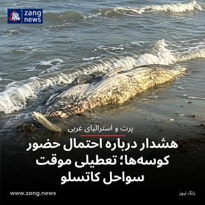 هشدار درباره احتمال حضور کوسه‌ها؛ تعطیلی موقت سواحل کاتسلو