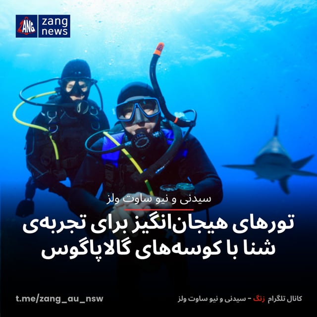 تورهای هیجان‌انگیز برای تجربه‌ی شنا با کوسه‌های گالاپاگوس