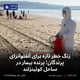 زنگ خطر تازه برای آنفلوآنزای پرندگان؛ پرنده بیمار در ساحل