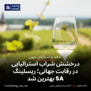 درخشش شراب استرالیایی در رقابت جهانی؛ ریسلینگ SA بهترین شد