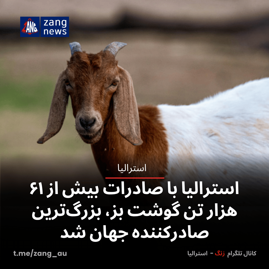 استرالیا با صادرات بیش از ۶۱ هزار تن گوشت بز، بزرگ‌ترین صادرکننده جهان شد