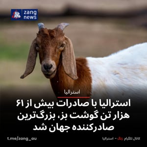 استرالیا با صادرات بیش از ۶۱ هزار تن گوشت بز، بزرگ‌ترین صادرکننده جهان شد