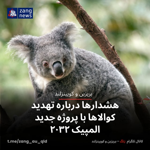 هشدارها درباره تهدید کوالاها با پروژه جدید المپیک ۲۰۳۲