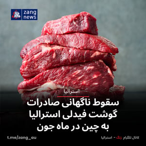سقوط ناگهانی صادرات گوشت فیدلی استرالیا به چین در ماه جون