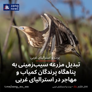 تبدیل مزرعه سیب‌زمینی به پناهگاه پرندگان کمیاب و مهاجر در استرالیای غربی