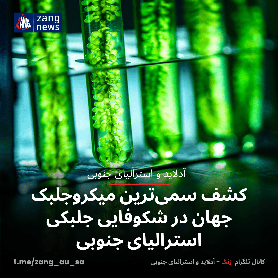کشف سمی‌ترین میکروجلبک جهان در شکوفایی جلبکی استرالیای جنوبی
