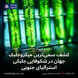 کشف سمی‌ترین میکروجلبک جهان در شکوفایی جلبکی استرالیای جنوبی