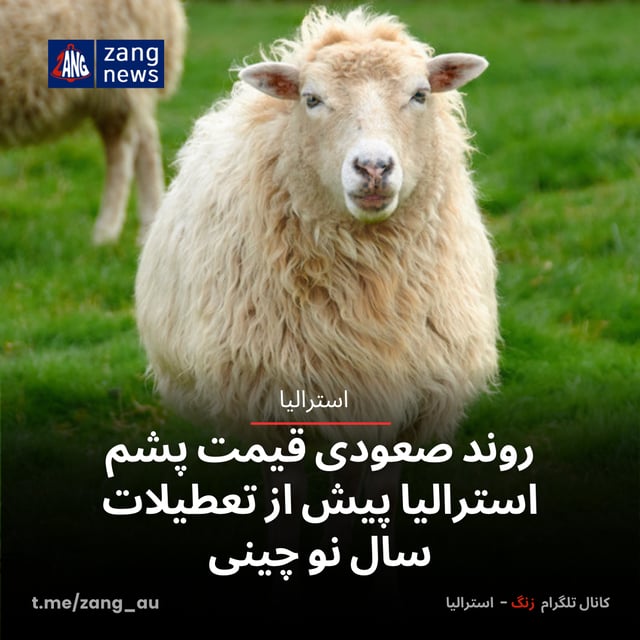 روند صعودی قیمت پشم استرالیا پیش از تعطیلات سال نو چینی