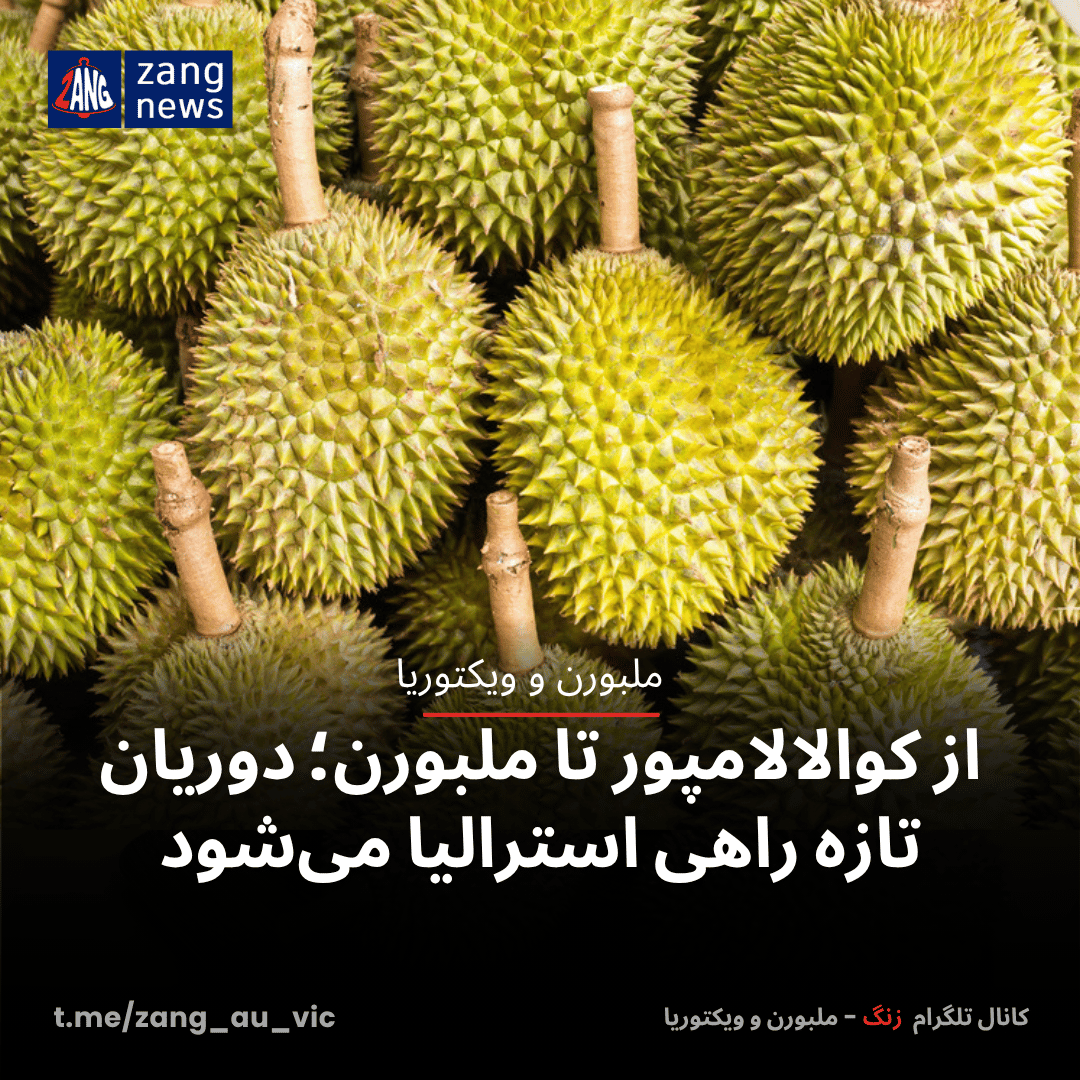 از کوالالامپور تا ملبورن؛ دوریان تازه راهی استرالیا می‌شود