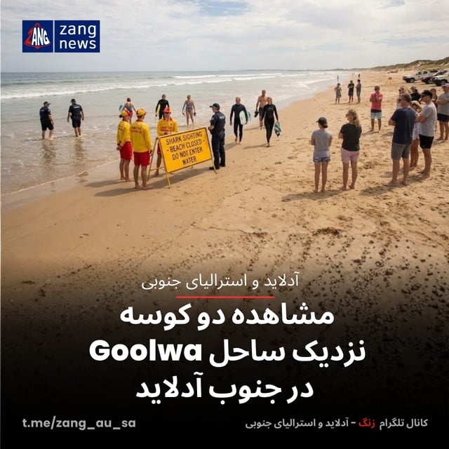 مشاهده دو کوسه نزدیک ساحل Goolwa در جنوب آدلاید
