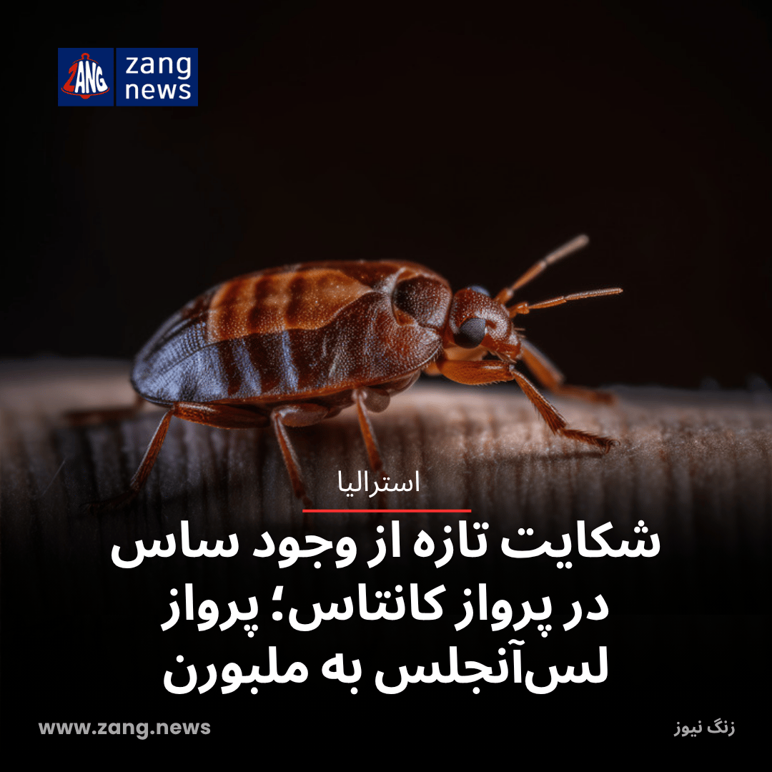 شکایت تازه از وجود ساس در پرواز کانتاس؛ پرواز لس‌آنجلس به ملبورن