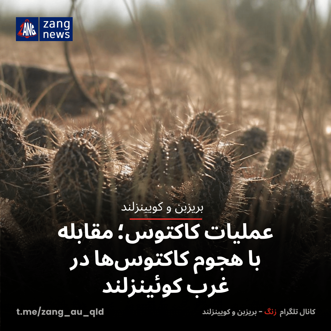 عملیات کاکتوس؛ مقابله با هجوم کاکتوس‌ها در غرب کوئینزلند