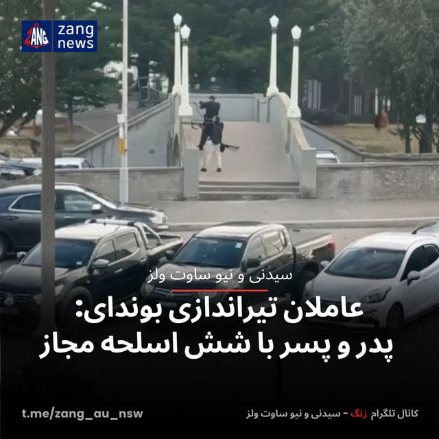 عاملان تیراندازی بوندای: پدر و پسر با شش اسلحه مجاز
