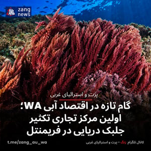 گام تازه در اقتصاد آبی WA؛ اولین مرکز تجاری تکثیر جلبک دریایی در فریمنتل