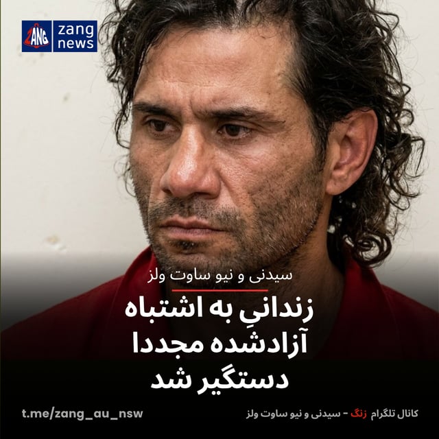 زندانیِ به اشتباه آزادشده مجددا دستگیر شد