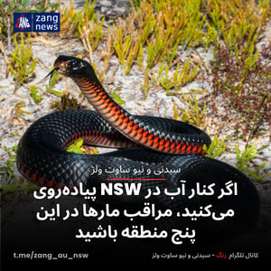 اگر کنار آب در NSW پیاده‌روی می‌کنید، مراقب مارها در این پنج منطقه باشید