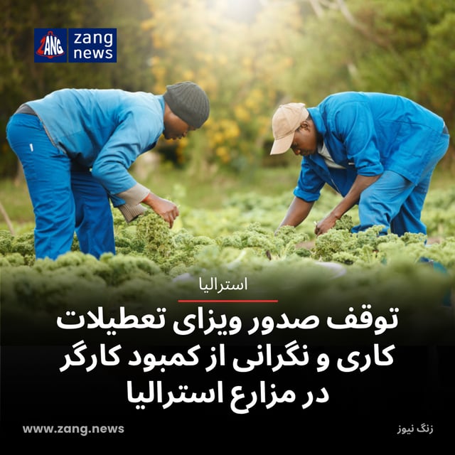 توقف صدور ویزای تعطیلات کاری و نگرانی از کمبود کارگر در مزارع استرالیا