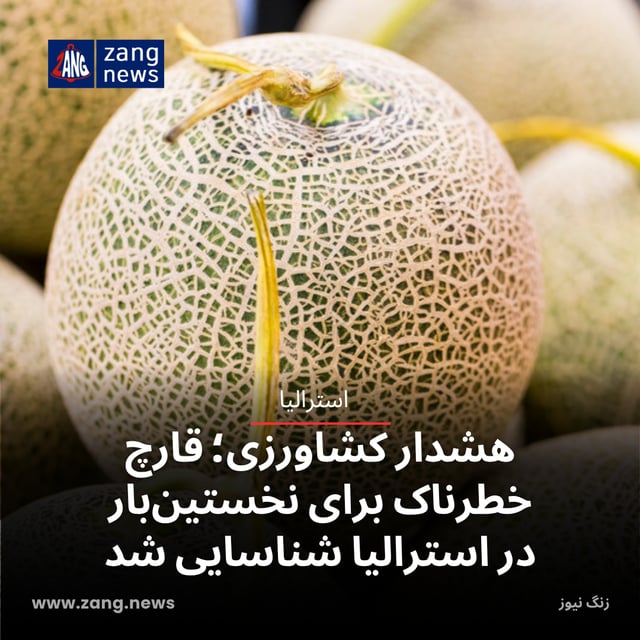 هشدار کشاورزی؛ قارچ خطرناک برای نخستین‌بار در استرالیا شناسایی شد