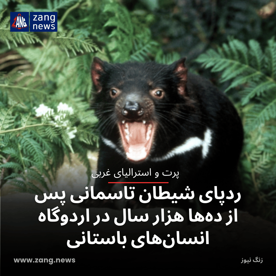 ردپای شیطان‌ تاسمانی پس از ده‌ها هزار سال در اردوگاه انسان‌های باستانی