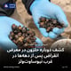 کشف دوباره حلزون در معرض انقراض پس از دهه‌ها در غرب نیوساوت‌ولز