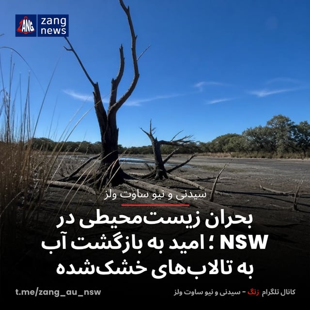 بحران زیست‌محیطی در NSW ؛ امید به بازگشت آب به تالاب‌های خشک‌شده
