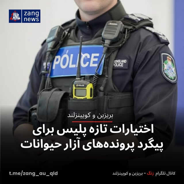 اختیارات تازه پلیس برای پیگرد پرونده‌های آزار حیوانات