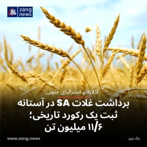 برداشت غلات SA در آستانه ثبت یک رکورد تاریخی؛ ۱۱/۶ میلیون تن