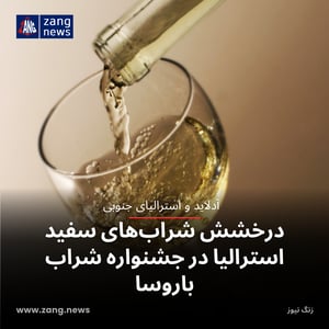 درخشش شراب‌های سفید استرالیا در جشنواره شراب باروسا
