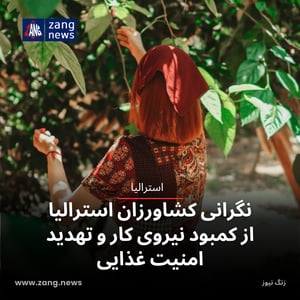 نگرانی کشاورزان استرالیا از کمبود نیروی کار و تهدید امنیت غذایی