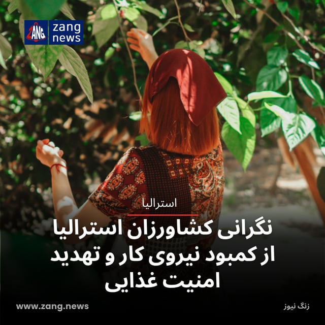 نگرانی کشاورزان استرالیا از کمبود نیروی کار و تهدید امنیت غذایی