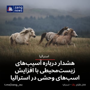 هشدار درباره آسیب‌های زیست‌محیطی با افزایش اسب‌های وحشی در استرالیا