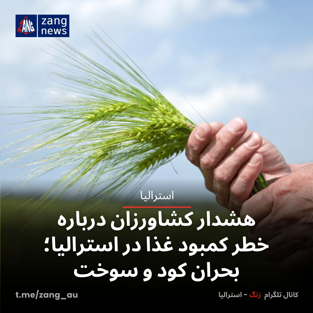 هشدار کشاورزان درباره خطر کمبود غذا در استرالیا؛ بحران کود و سوخت